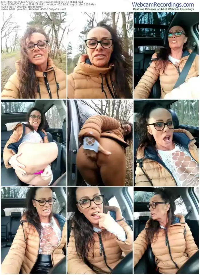 stripchat-misses-cougar-12-17-2023-13-14-04
