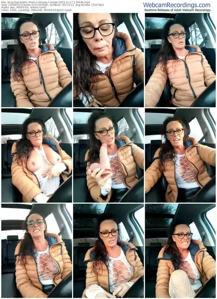 stripchat-misses-cougar-12-17-2023-13-34-46
