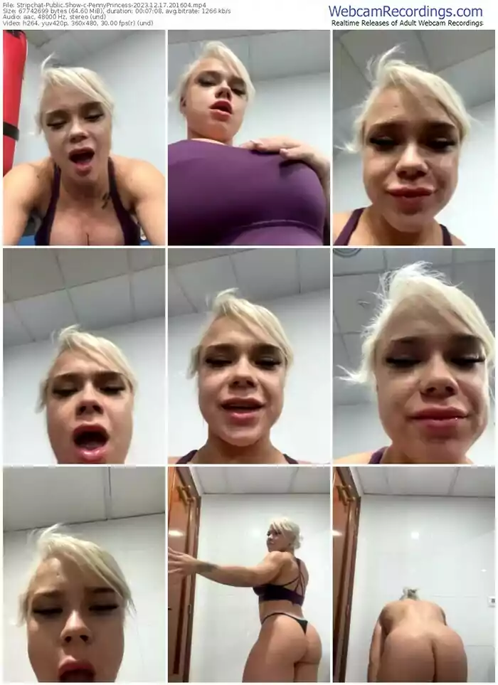 stripchat-pennyprincess-12-17-2023-20-16-04