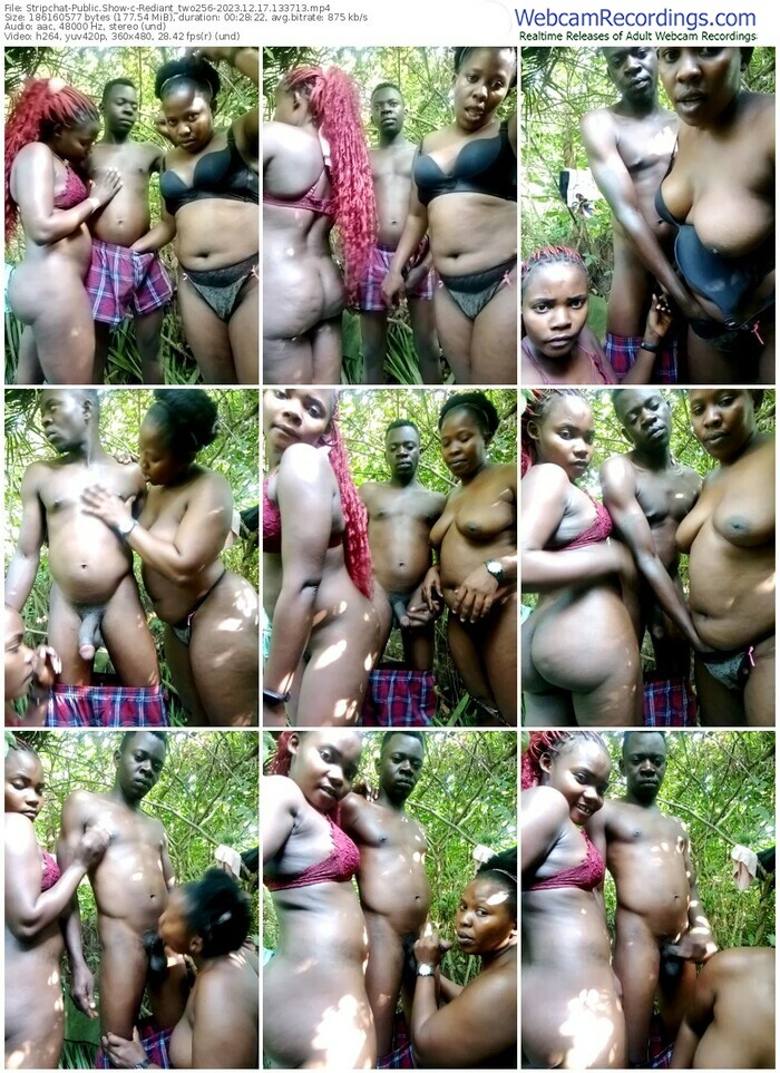 stripchat-rediant_two256-12-17-2023-13-37-13