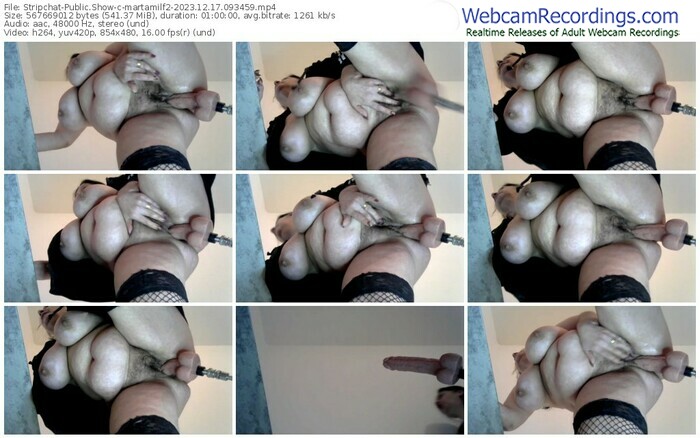 stripchat-martamilf2-12-17-2023-09-34-59