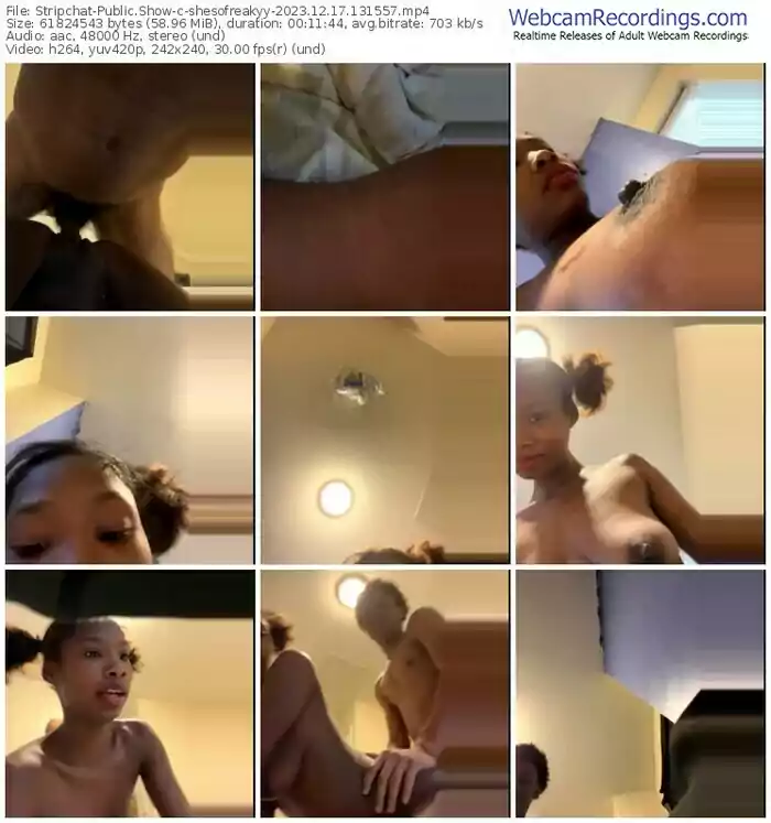 stripchat-shesofreakyy-12-17-2023-13-15-57