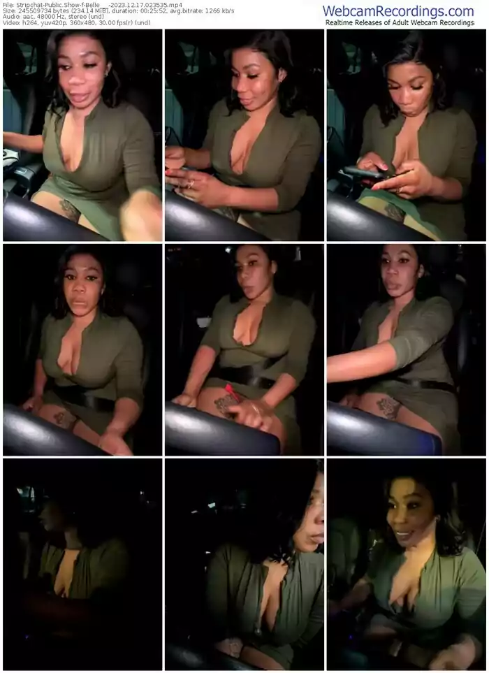 stripchat-belle___-12-17-2023-02-35-35