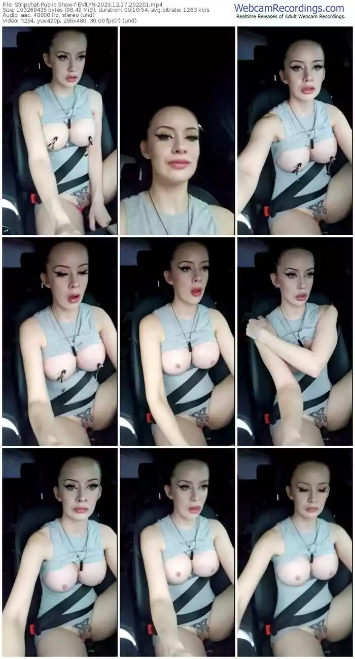 stripchat-evilyn-12-17-2023-20-22-01
