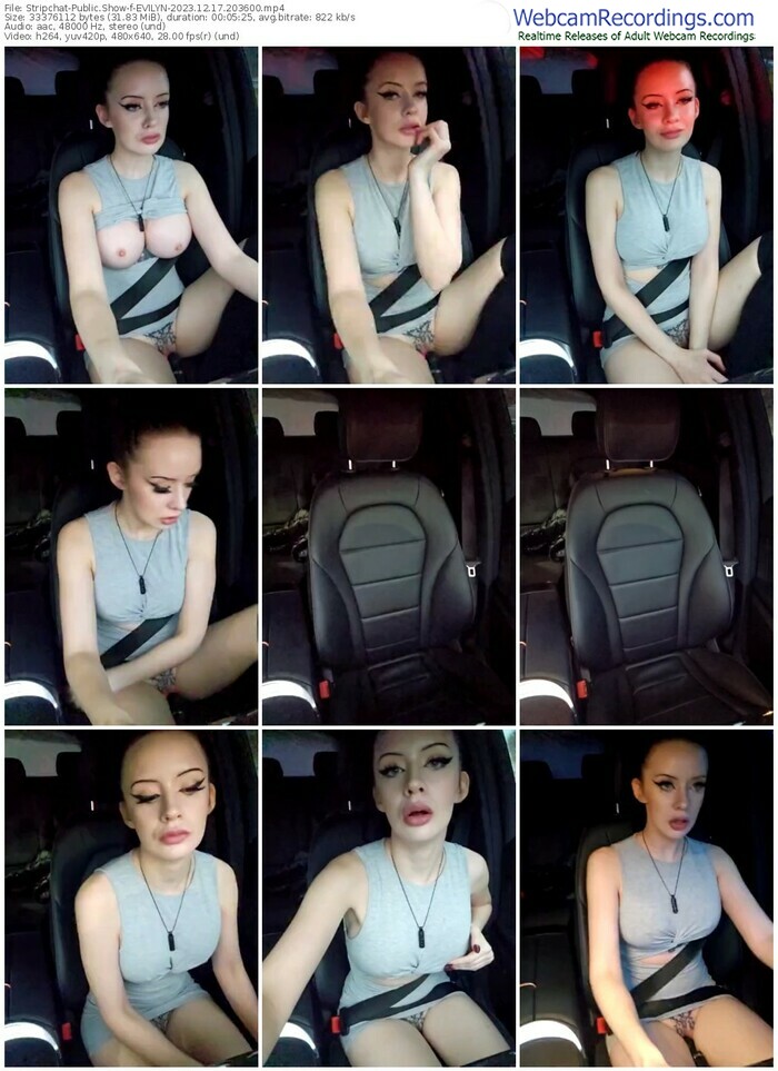 stripchat-evilyn-12-17-2023-20-36-00