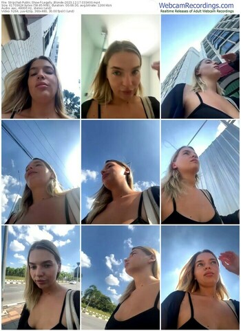 stripchat-legally_blonde-12-17-2023-03-34-00