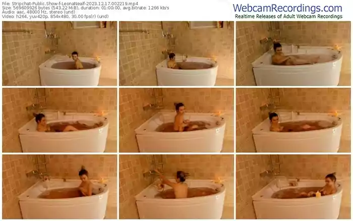 stripchat-leonanealf-12-17-2023-00-22-19