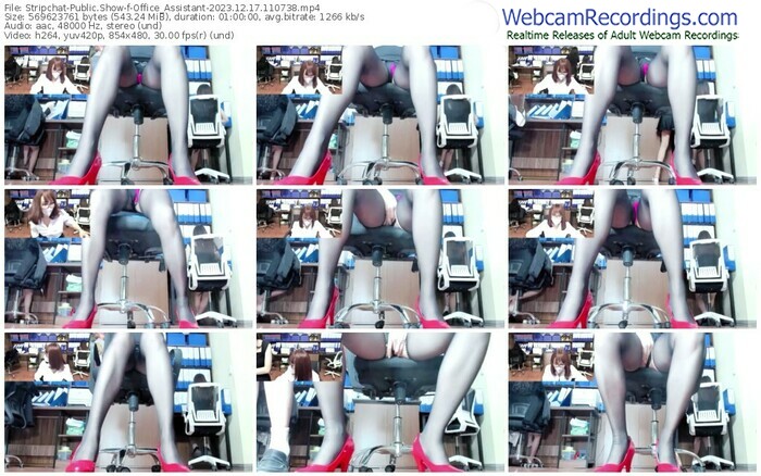 stripchat-office_assistant-12-17-2023-11-07-38