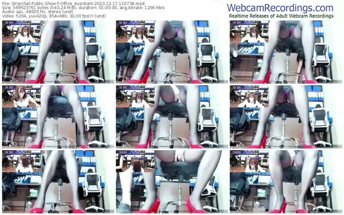 stripchat-office_assistant-12-17-2023-11-07-38