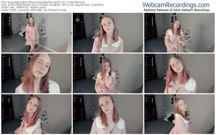 stripchat-rosewellsk-12-17-2023-19-53-38