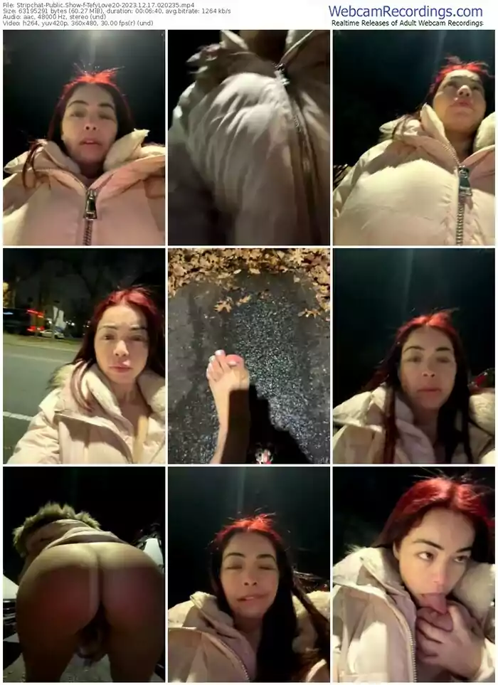 stripchat-tefylove20-12-17-2023-02-02-35