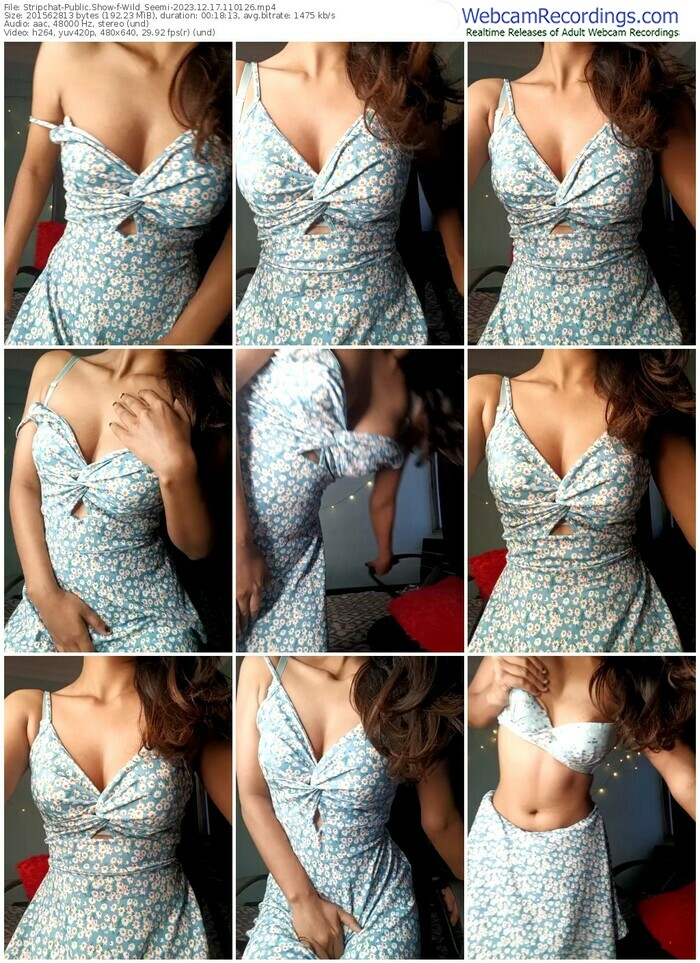 stripchat-wild_seemi-12-17-2023-11-01-26