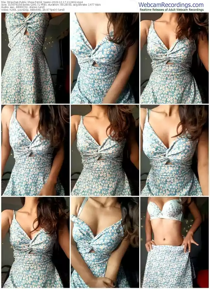 stripchat-wild_seemi-12-17-2023-11-24-02