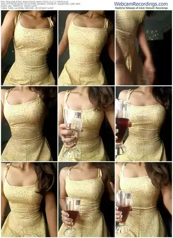 stripchat-wild_seemi-12-17-2023-17-38-39