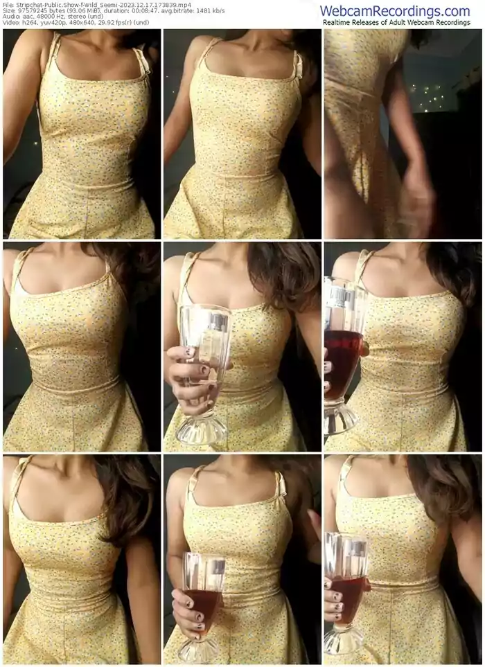 stripchat-wild_seemi-12-17-2023-17-38-39