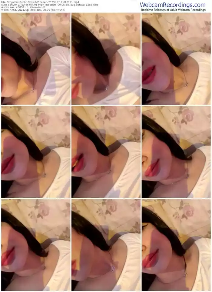 stripchat-zineeeb-12-17-2023-01-01-21