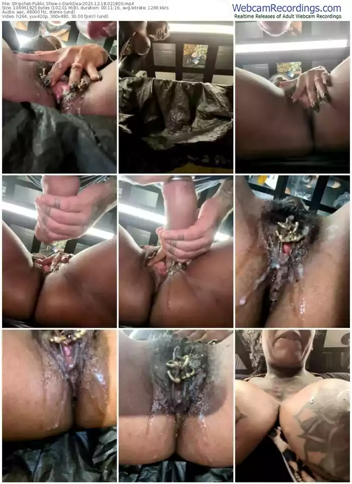 stripchat-darkdea-12-18-2023-02-18-00