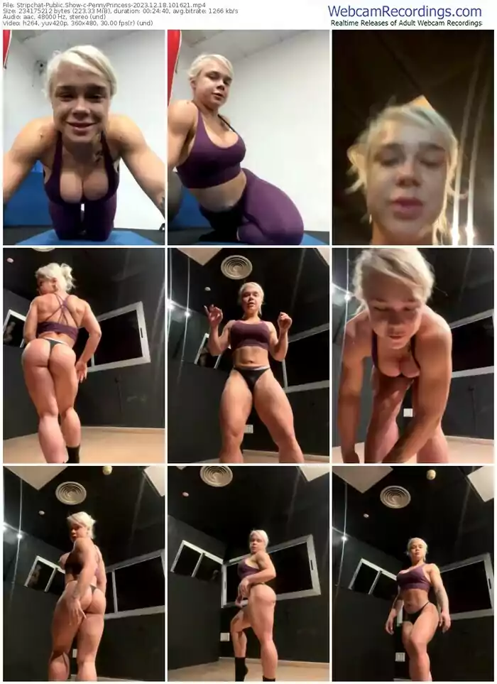 stripchat-pennyprincess-12-18-2023-10-16-21