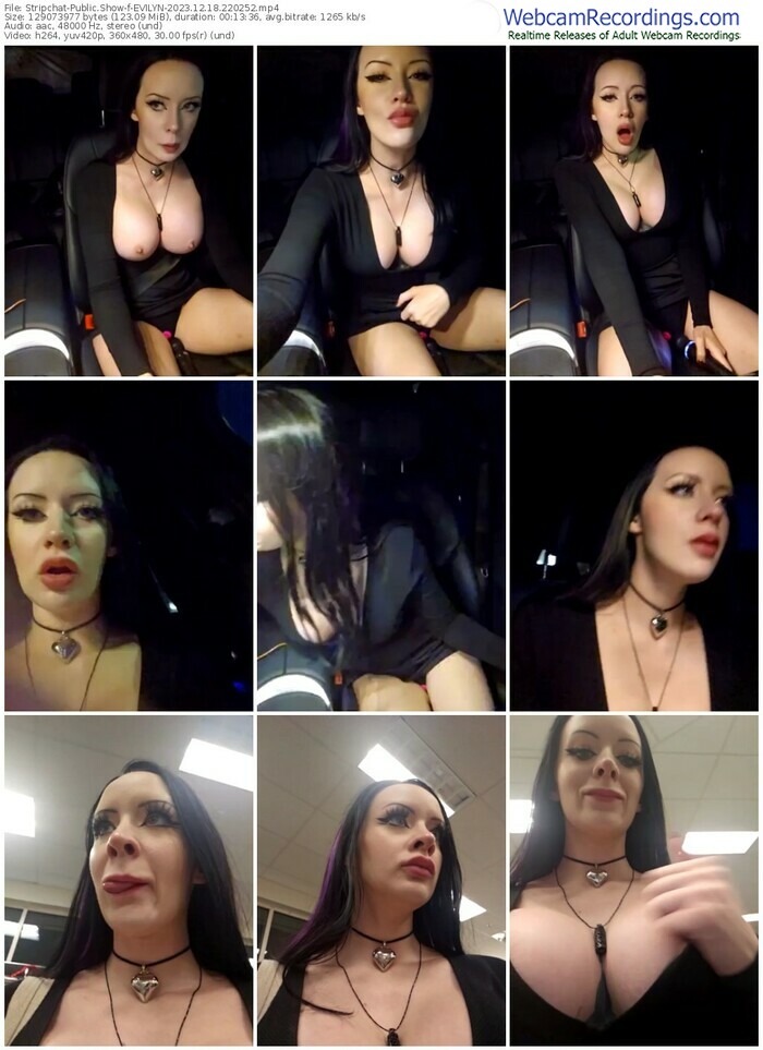 stripchat-evilyn-12-18-2023-22-02-52