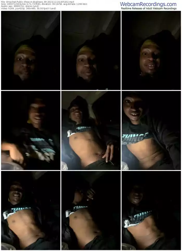 stripchat-bigsteve_99-12-18-2023-00-52-02