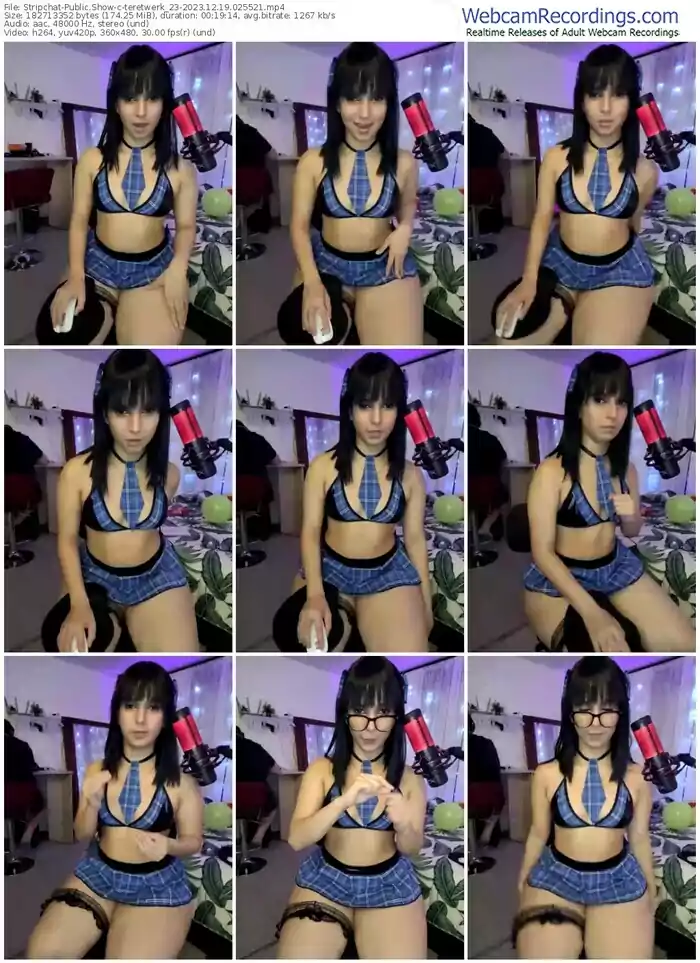 stripchat-teretwerk_23-12-19-2023-02-55-21