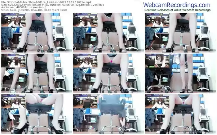 stripchat-office_assistant-12-19-2023-11-02-14