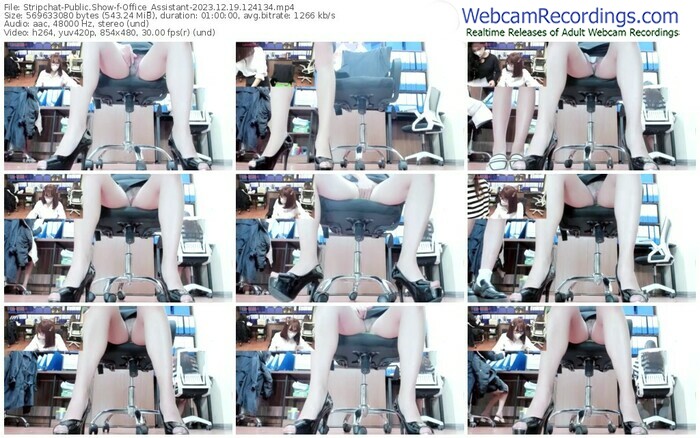 stripchat-office_assistant-12-19-2023-12-41-34