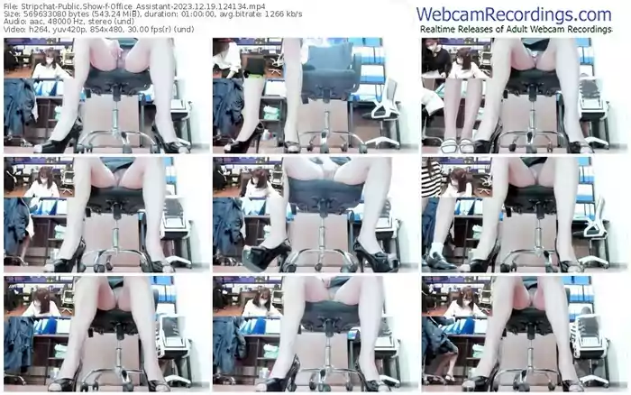 stripchat-office_assistant-12-19-2023-12-41-34