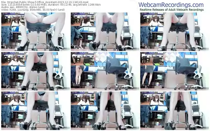 stripchat-office_assistant-12-19-2023-13-41-43