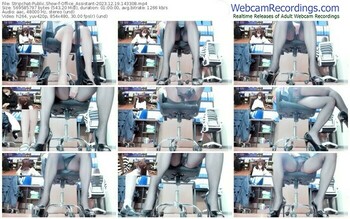 stripchat-office_assistant-12-19-2023-14-33-08