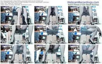 stripchat-office_assistant-12-19-2023-14-33-08