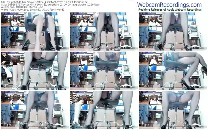 stripchat-office_assistant-12-19-2023-14-33-08