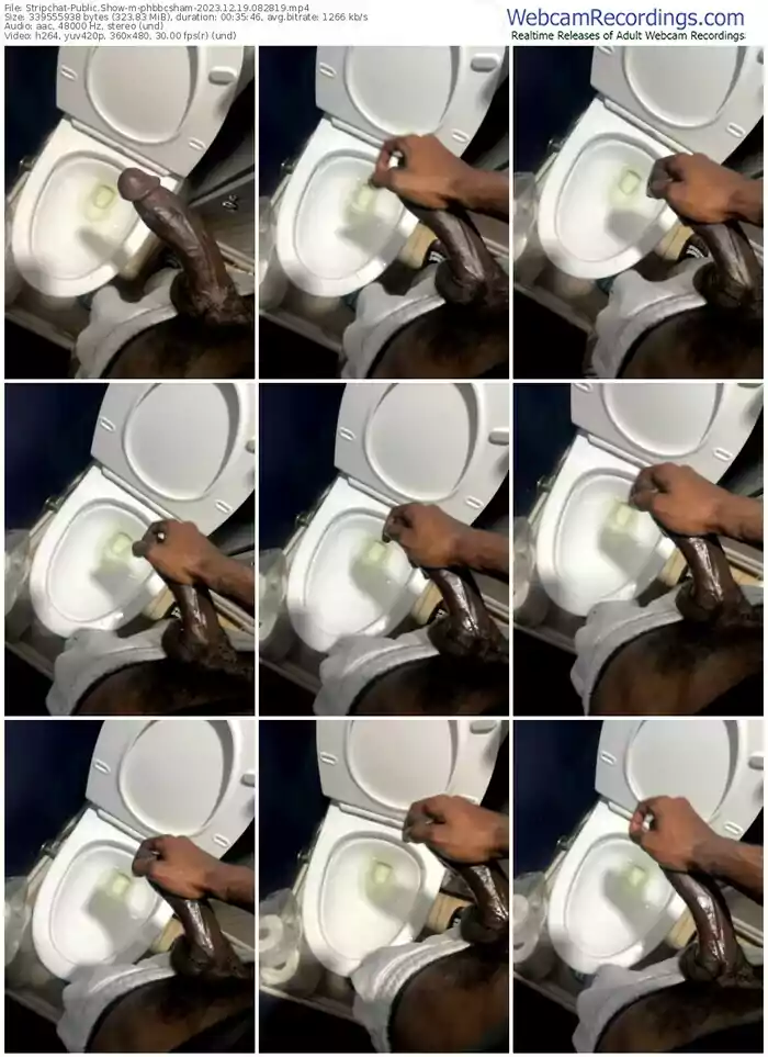 stripchat-phbbcsham-12-19-2023-08-28-19