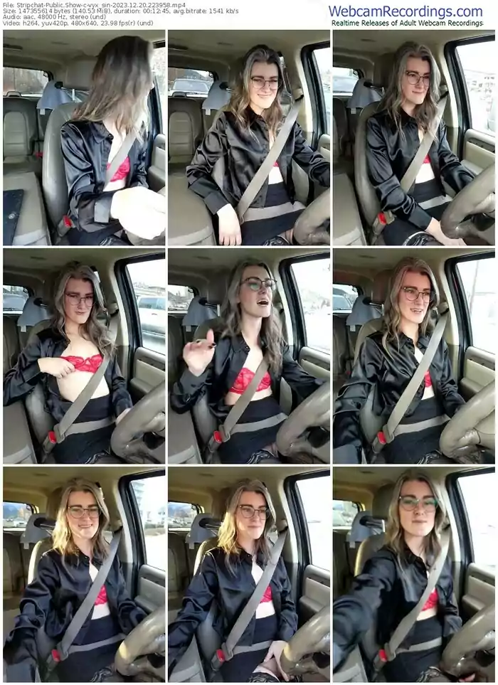 stripchat-vyx_sin-12-20-2023-22-39-58
