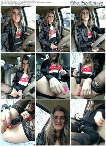 stripchat-vyx_sin-12-20-2023-22-53-13