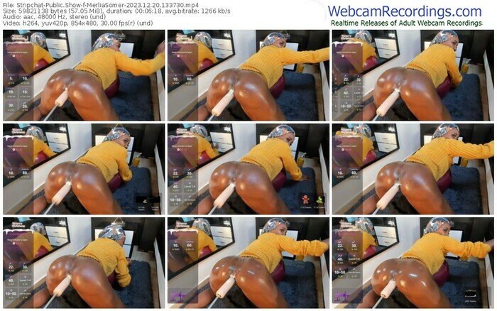 stripchat-merliasomer-12-20-2023-13-37-30