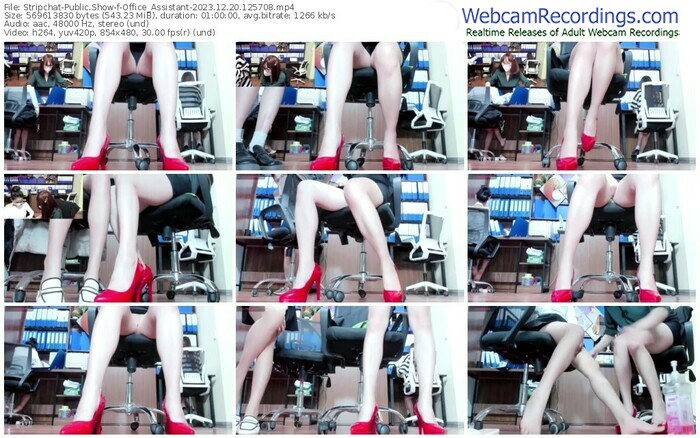 stripchat-office_assistant-12-20-2023-12-57-08