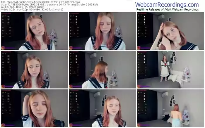 stripchat-rosewellsk-12-20-2023-00-15-27