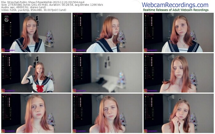 stripchat-rosewellsk-12-20-2023-03-15-04