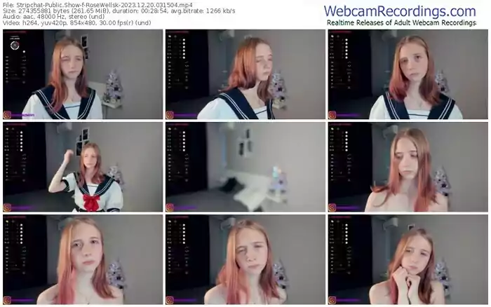 stripchat-rosewellsk-12-20-2023-03-15-04