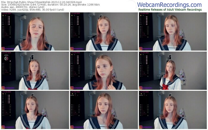 stripchat-rosewellsk-12-20-2023-04-03-26