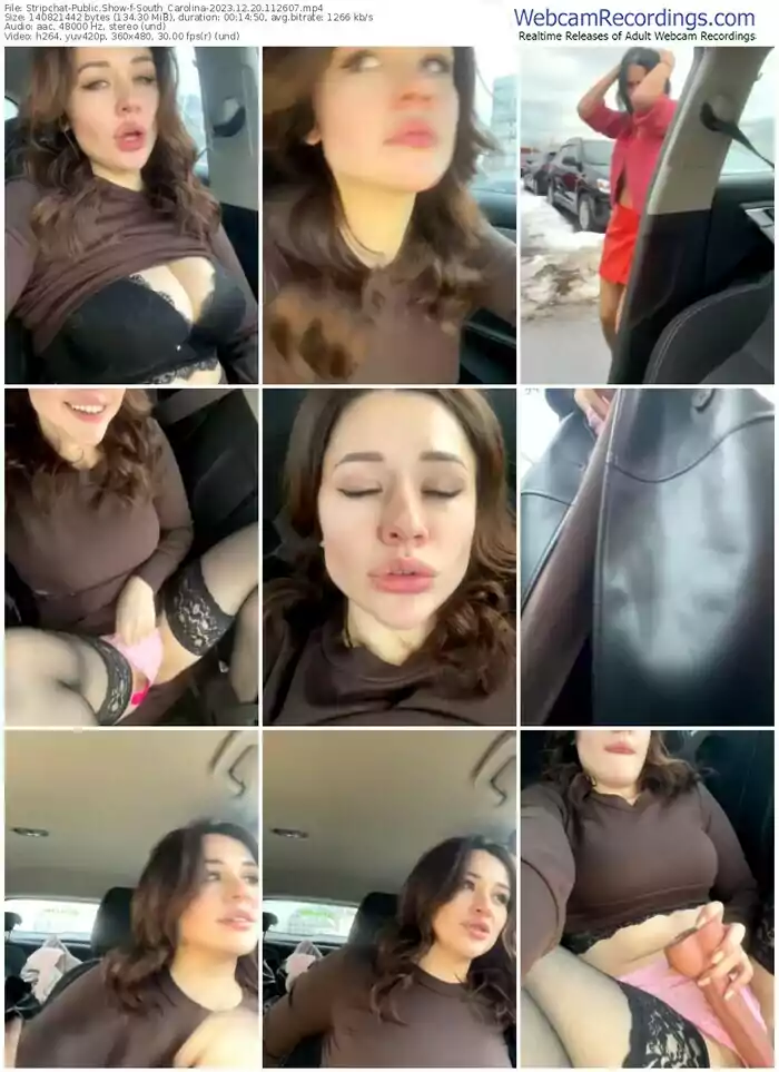 stripchat-south_carolina-12-20-2023-11-26-07