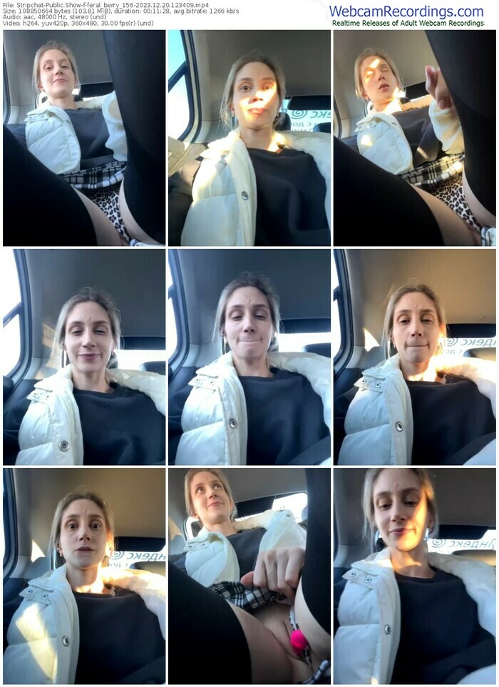 stripchat-feral_berry_156-12-20-2023-12-34-09