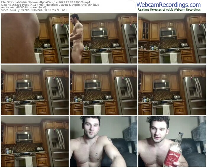 stripchat-alphazack_14-12-20-2023-04-03-09