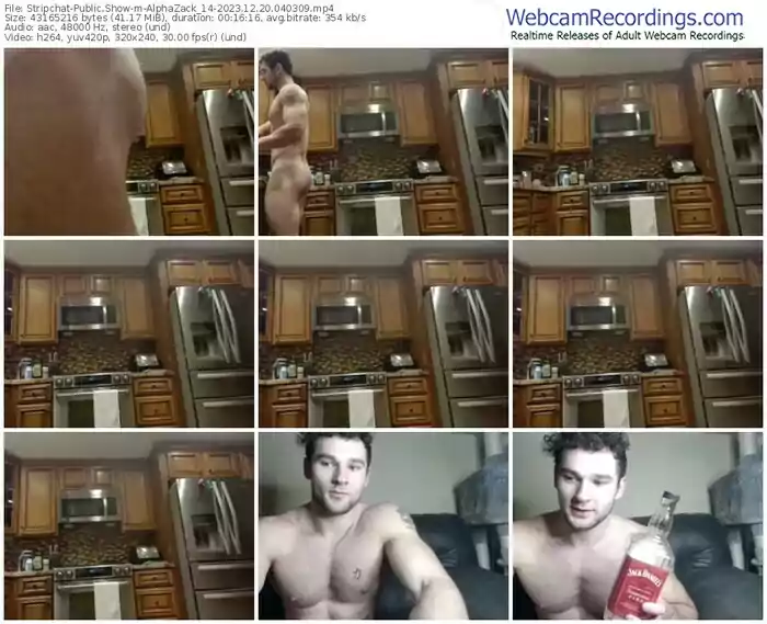 stripchat-alphazack_14-12-20-2023-04-03-09