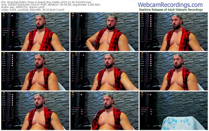 stripchat-david_big_daddy-12-20-2023-01-04-04