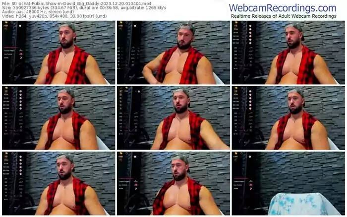 stripchat-david_big_daddy-12-20-2023-01-04-04