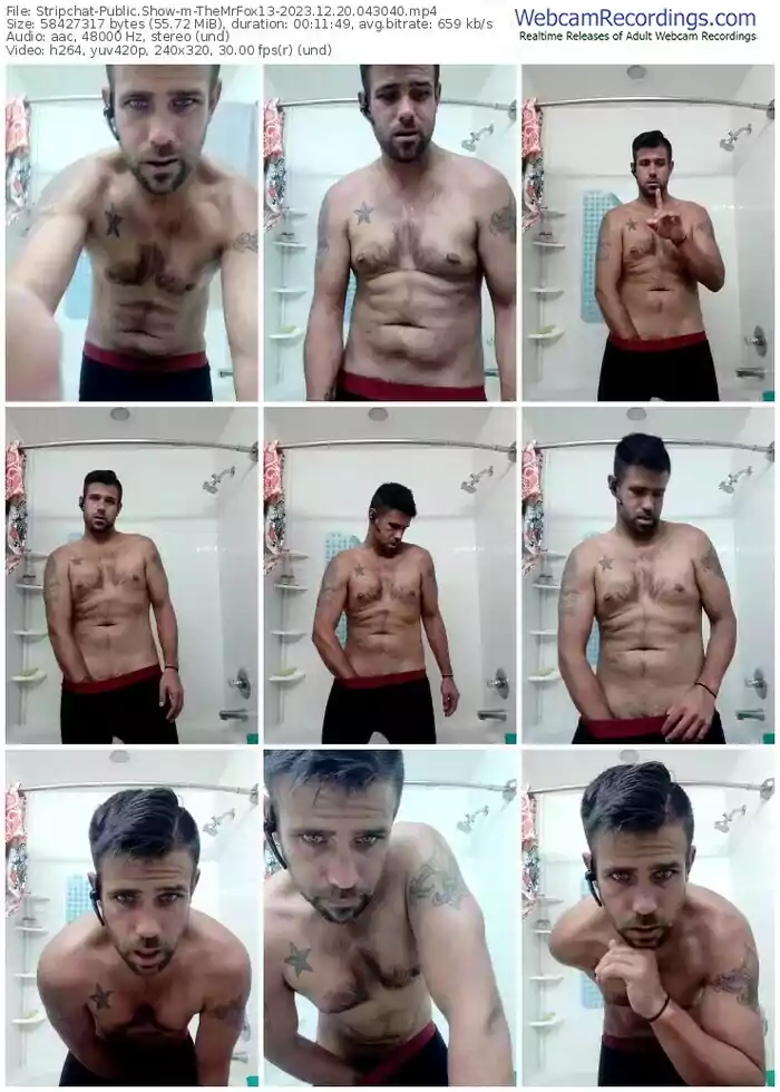 stripchat-themrfox13-12-20-2023-04-30-40