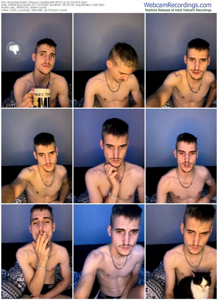 stripchat-cookboy88-12-20-2023-01-01-55