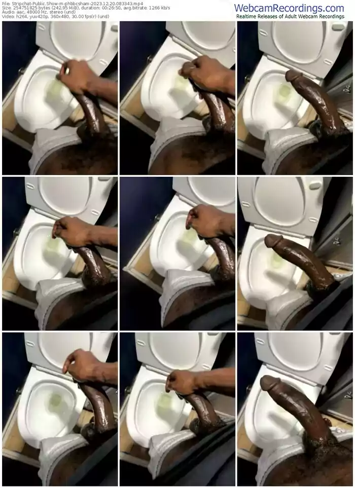 stripchat-phbbcsham-12-20-2023-08-33-43